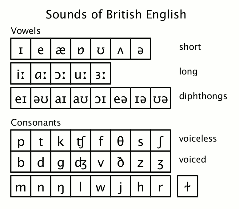 Lesson 8 Fricative F V 8 D S Z ʃ ʒ And Affricates ʧ ʤ American English Pronunciation