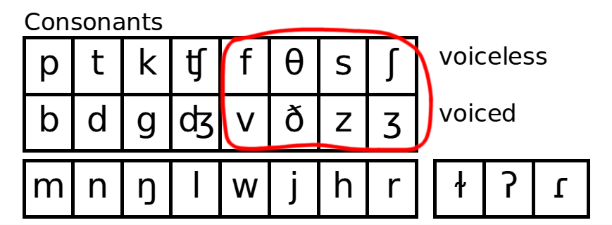 Lesson 8 Fricative F V 8 D S Z ʃ ʒ And Affricates ʧ ʤ American English Pronunciation